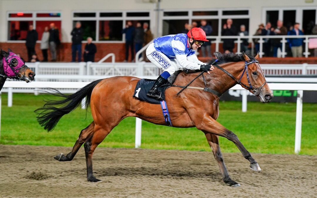 Racehorse Trainer | Stuart Williams Racing | Newmarket