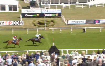 Horse race: a dark horse crosses the finish line ahead of a brown horse on a sunny day.