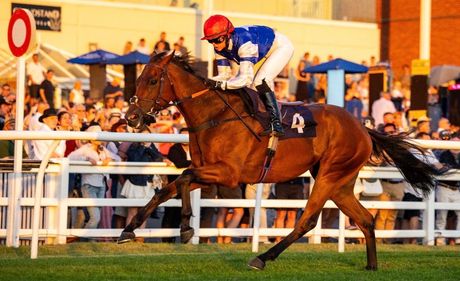 Racehorse, ridden by a jockey in blue, leads a race on a dirt track.