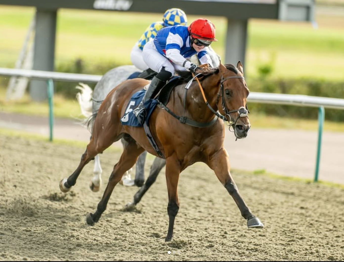Diomed Duke
