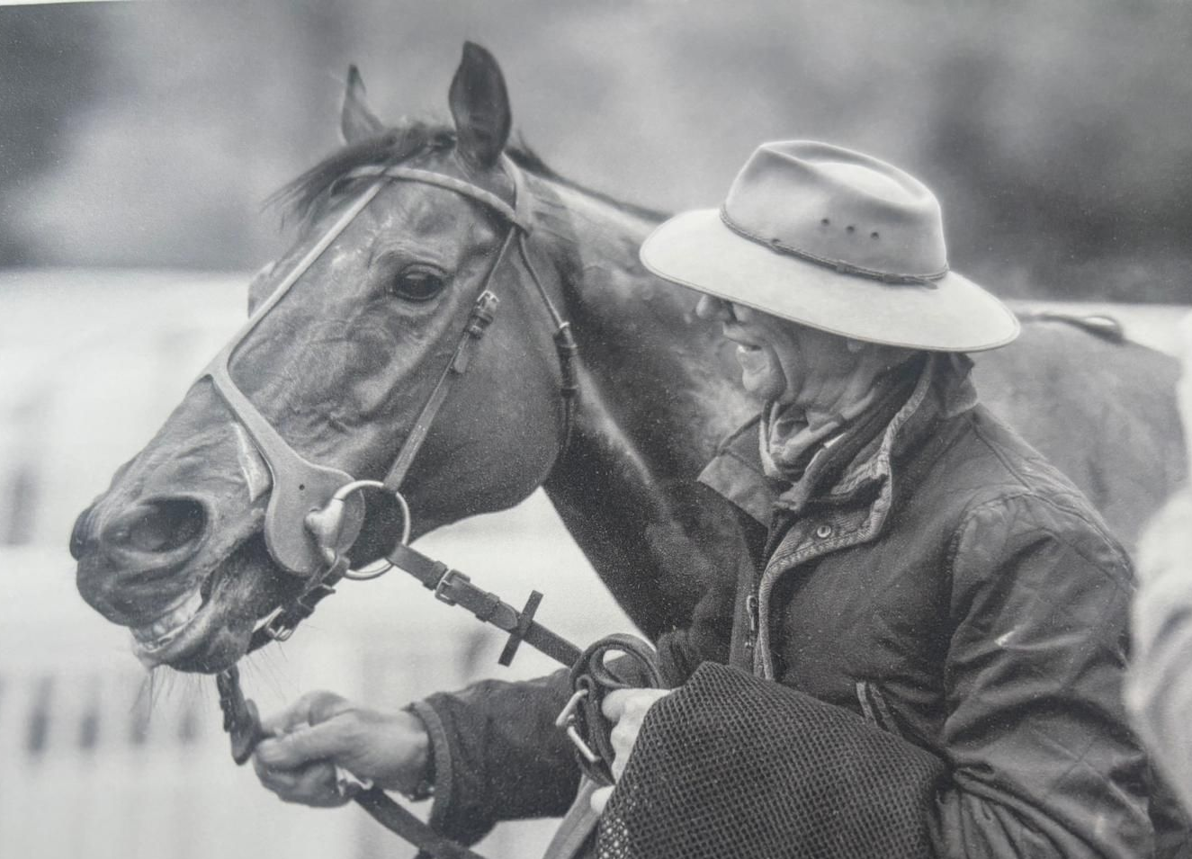Diomed Spirit