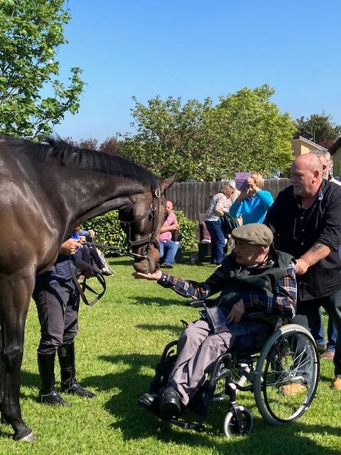 Horse meeting a child in a wheelchair outdoors on a sunny day, with adults nearby and a grassy field behind.