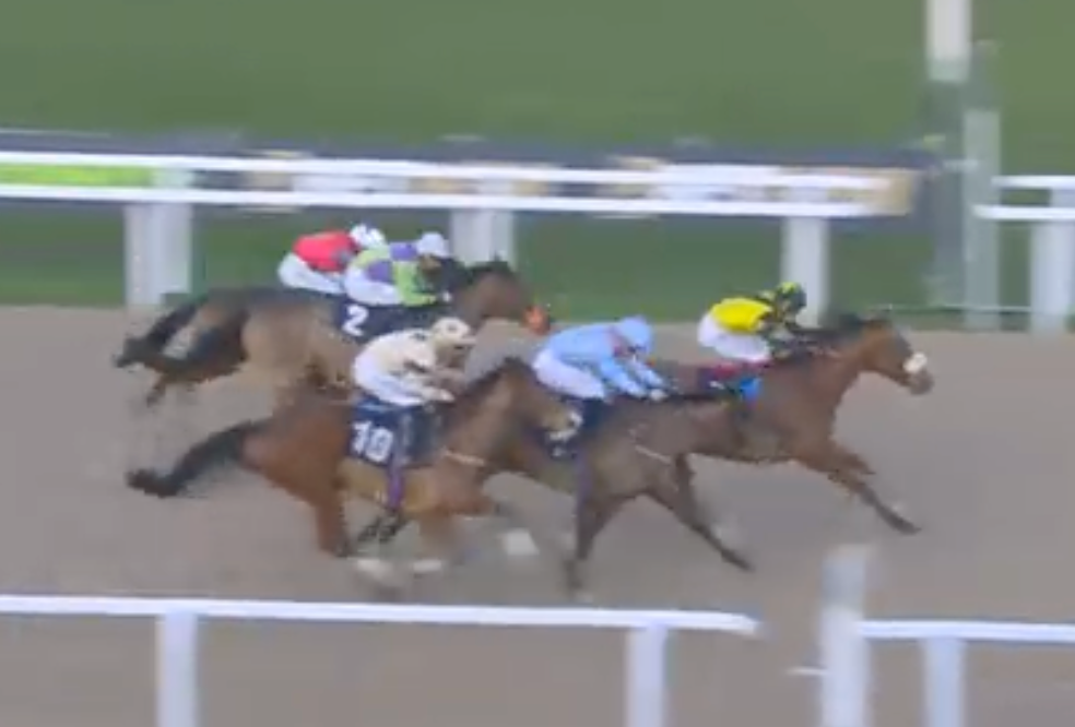 Horse race with several jockeys and horses sprinting side by side on a track