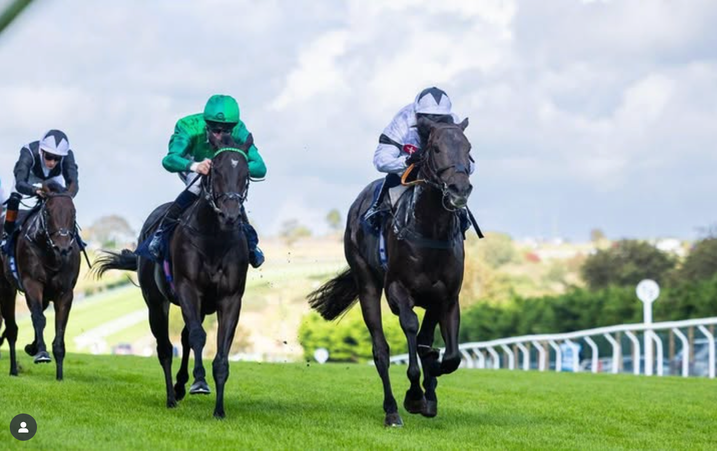 Three racehorses racing on a green track. Dark-colored horses with jockeys in colorful silks.