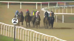 Racehorses racing on a track at night. The number 2 is visible on a track marker.