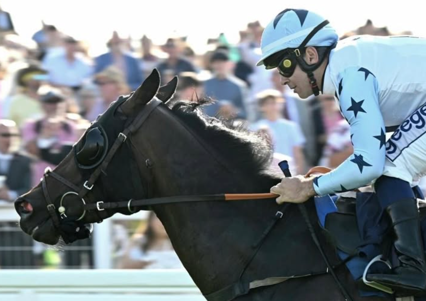 Racehorse with jockey, dark coat, light blue and black stars on sleeves, riding at track.