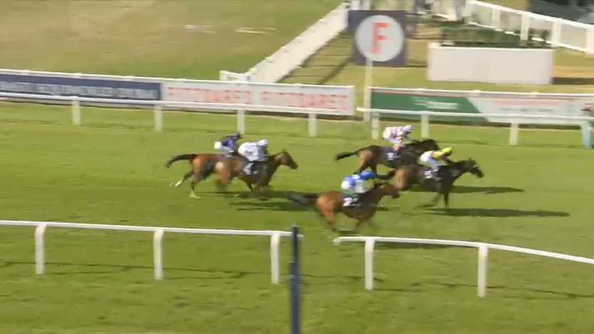 Racehorses racing on a green track, jockeys in colorful silks.