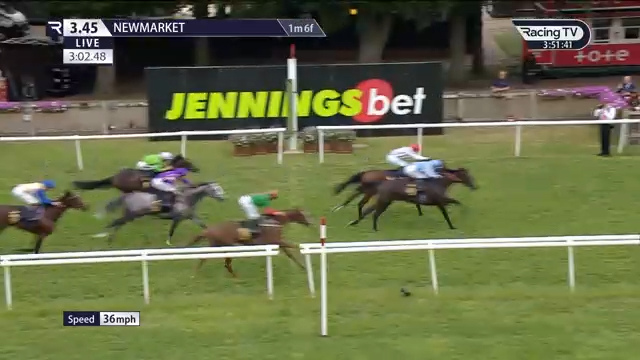 Racehorses nearing the finish line at Newmarket, green field, JenningsBet sign, racing scene.