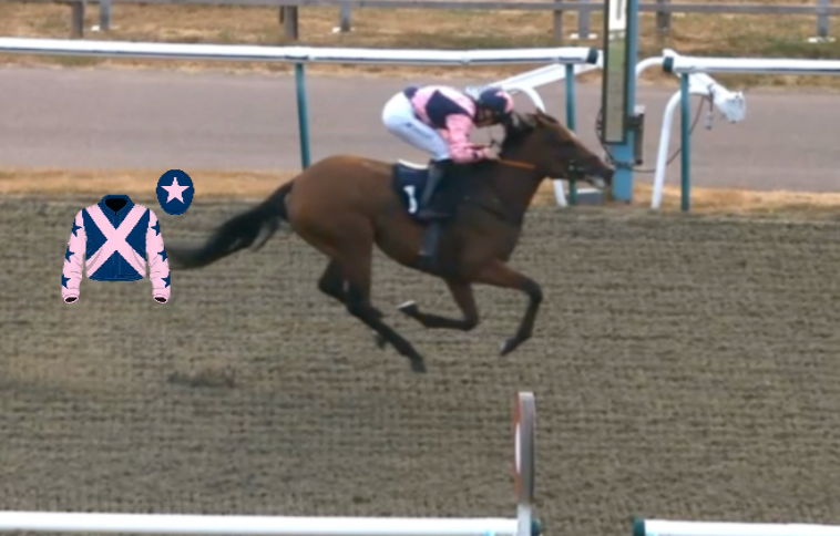 Horse race on a dirt track, jockey in pink-and-blue silks riding a brown horse with saddle number 1.