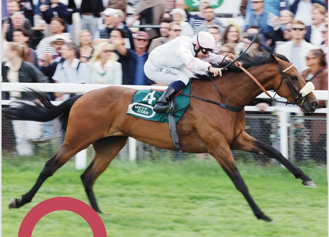 Horse race at Sandown Park, with jockeys racing on a green track near the finish line.