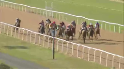 Horses racing around a track; jockeys in colorful silks.