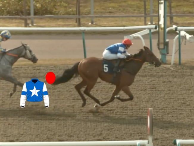 Diomed Duke