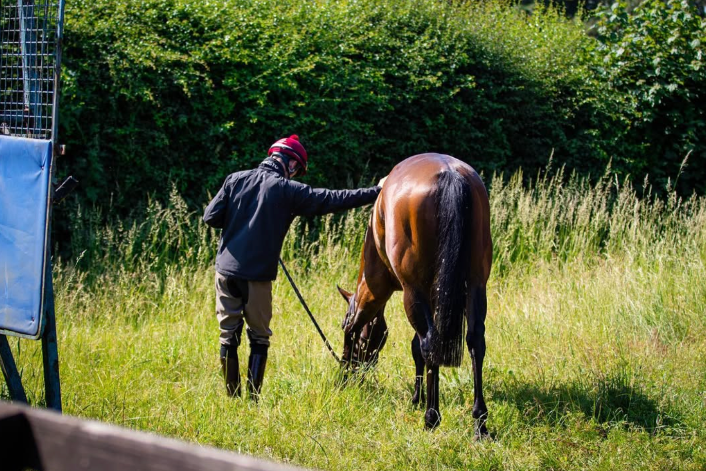 Person in dark jacket and red cap petting a brown horse in a grassy field.