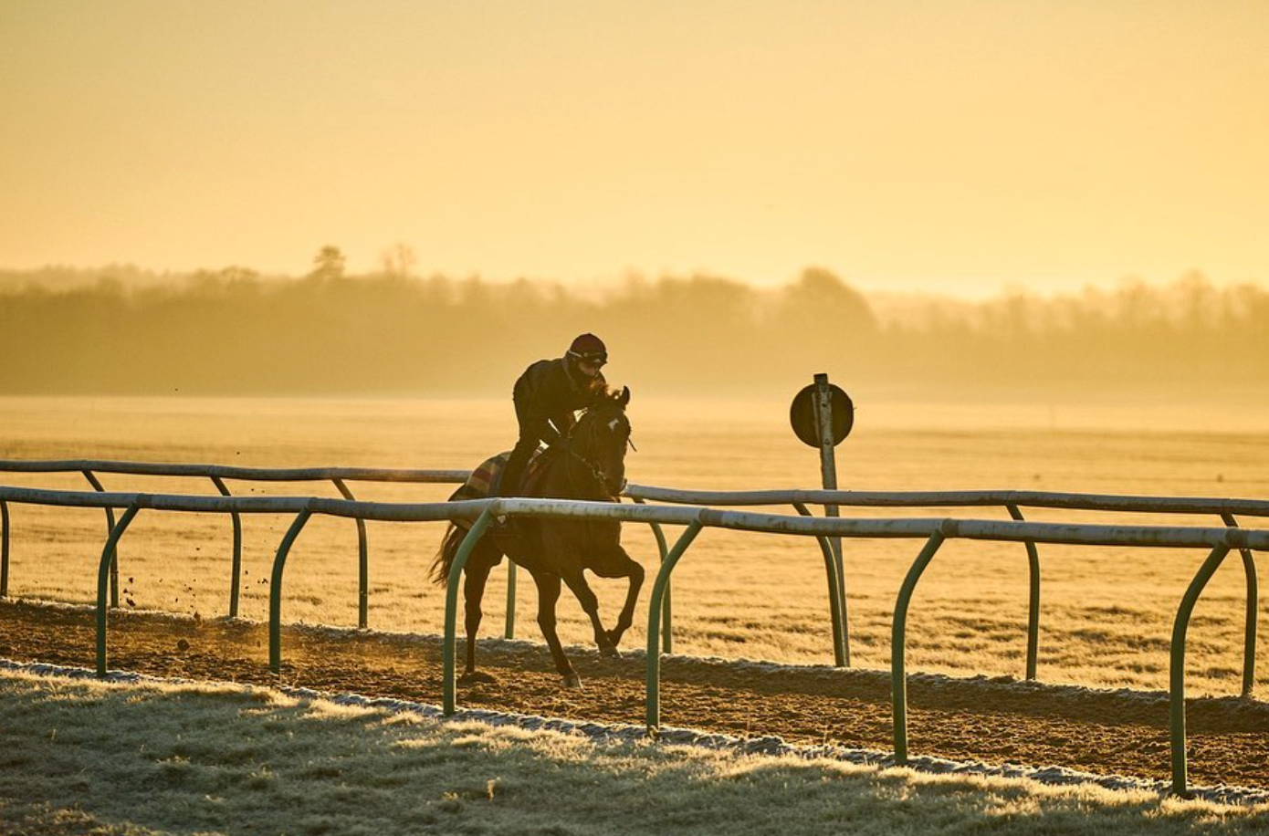Horse and jockey galloping on a track at sunrise, with a fence in the foreground and a hazy horizon.