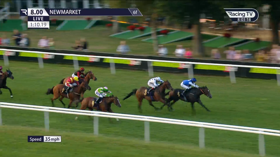 Horse race at Newmarket, horses racing on green track. Riders in various colors. View from the side.