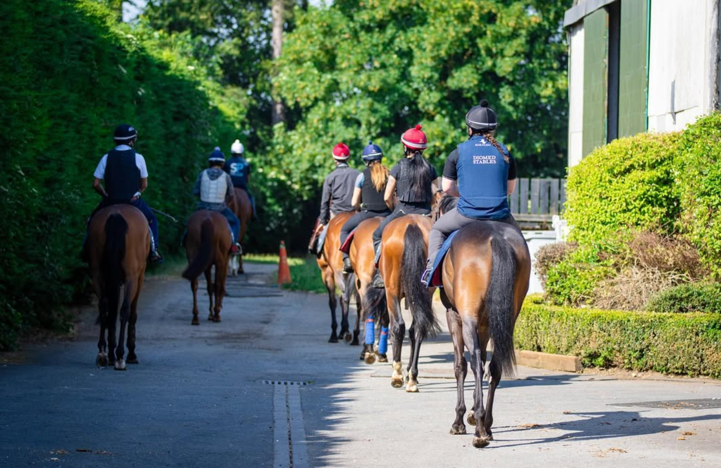 A group of people on horseback ride down a paved path. Trees and a building are on either side.