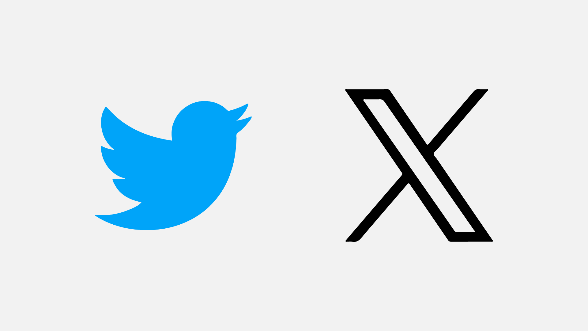 A blue bird and a black x are next to each other on a white background.
