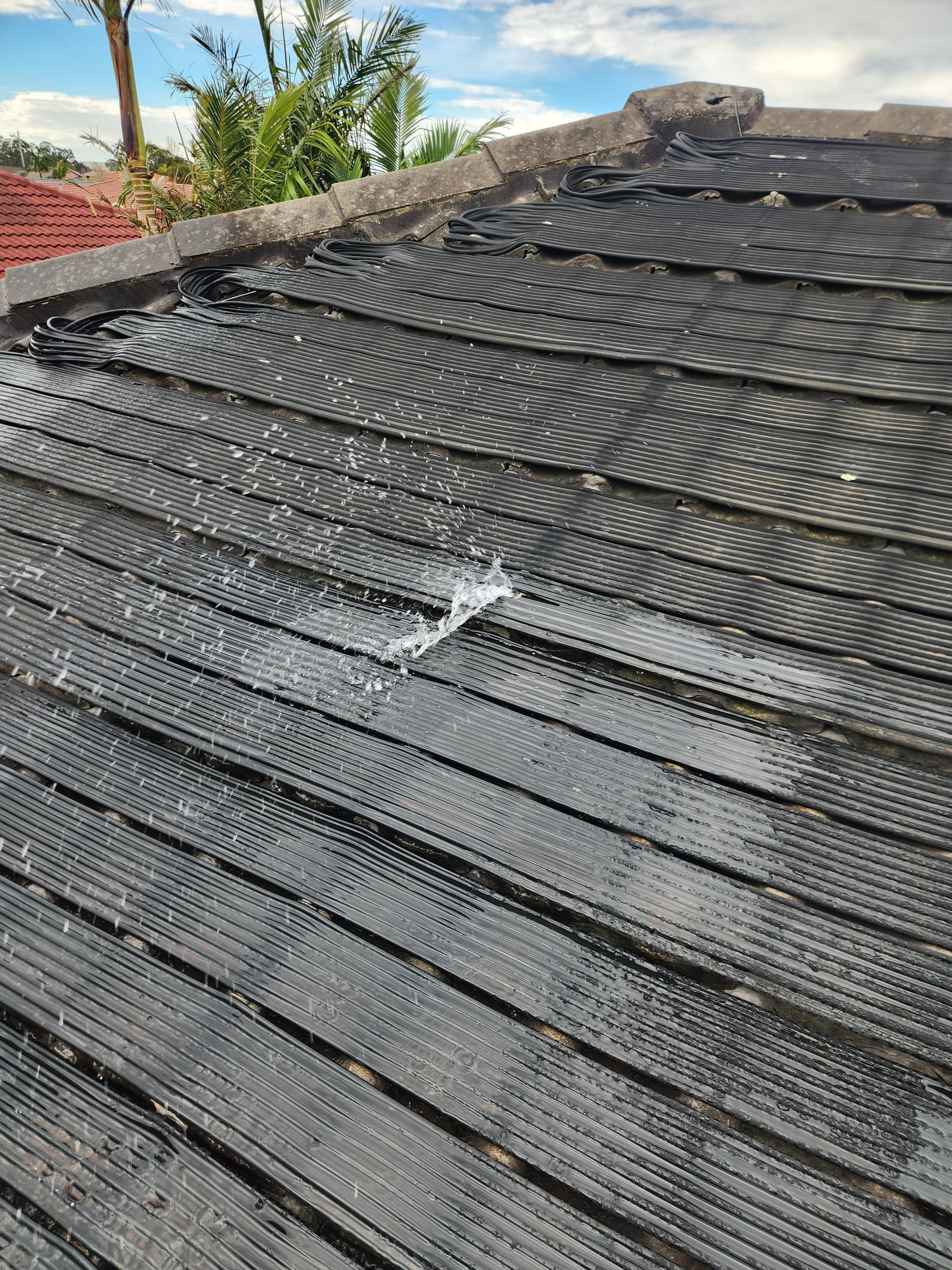 Solar Panels on a Rooftop with a leak — Solar Services in Erina, NSW