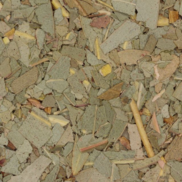 eucalyptus Kracht ben Jij