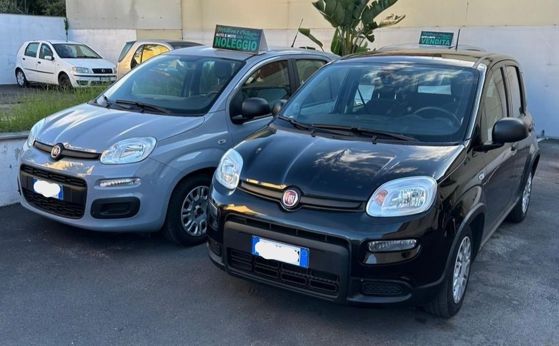 Due taxi Fiat Panda: uno grigio e uno nero, parcheggiati uno accanto all'altro alla luce del giorno.