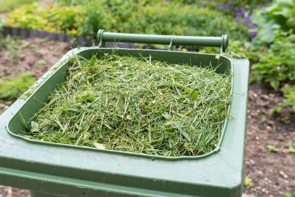 Green Bin Overflowing With Freshly Cut Grass Clippings in a Garden Setting — Hasti Skips in Murwillumbah, NSW
