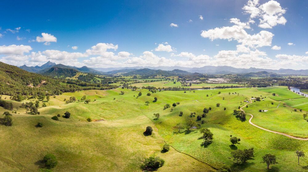 Green Pasture Landscape With Rolling Hills, Trees, and Mountains — Hasti Skips in Murwillumbah, NSW