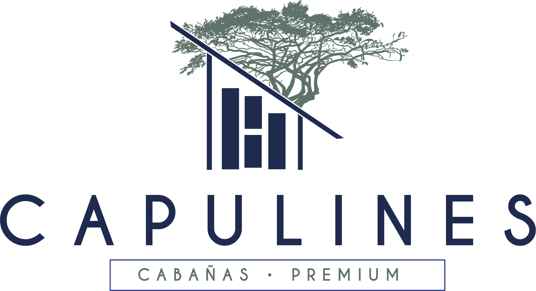 Cabañas Capulines
