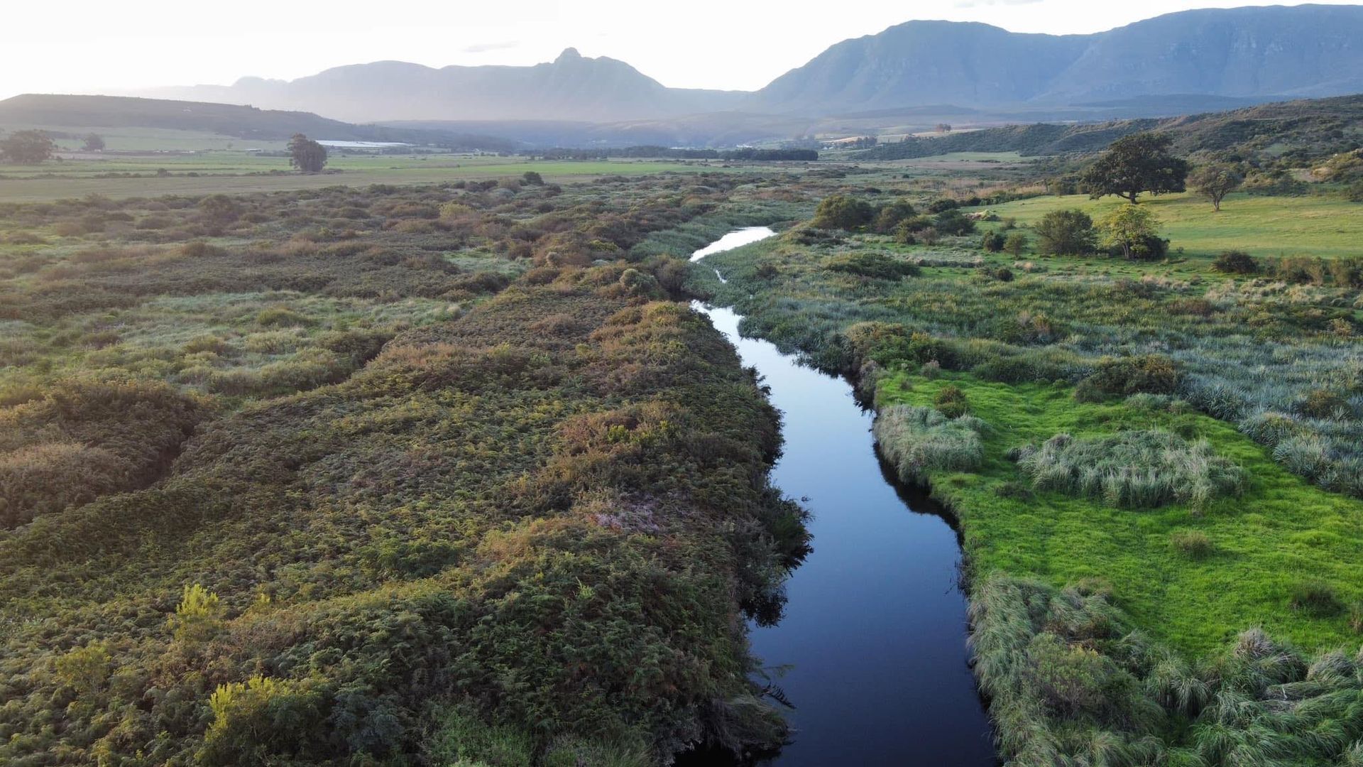 A river winds through a marshy landscape with mountains in the background. Green and brown hues dominate.