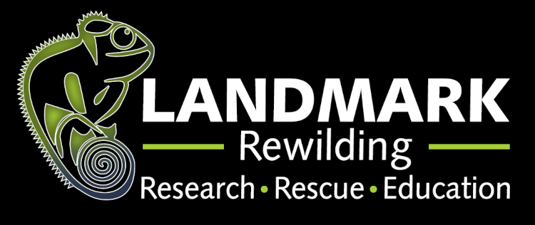 Landmark Foundation