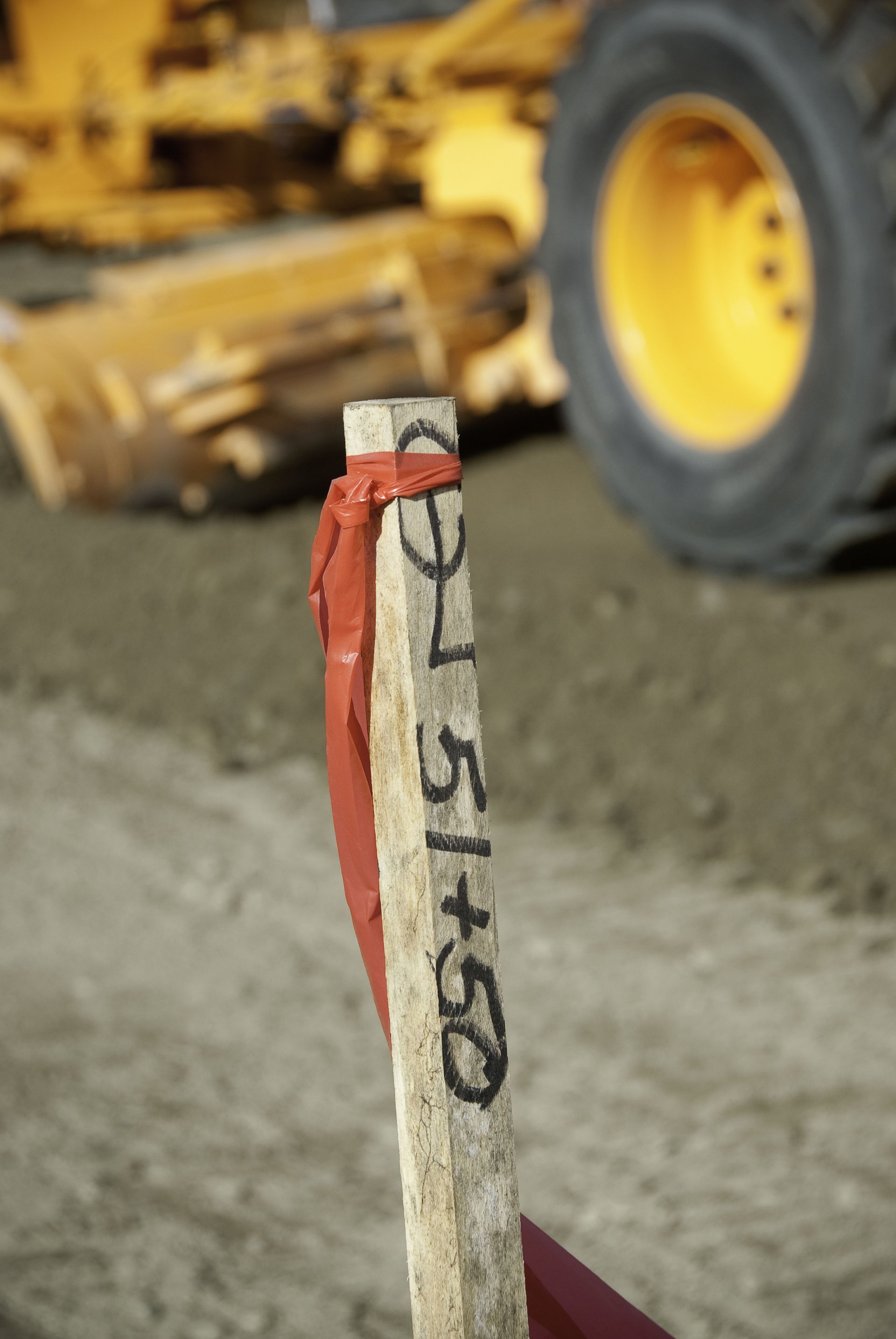 Grade Stakes / Survey Stakes