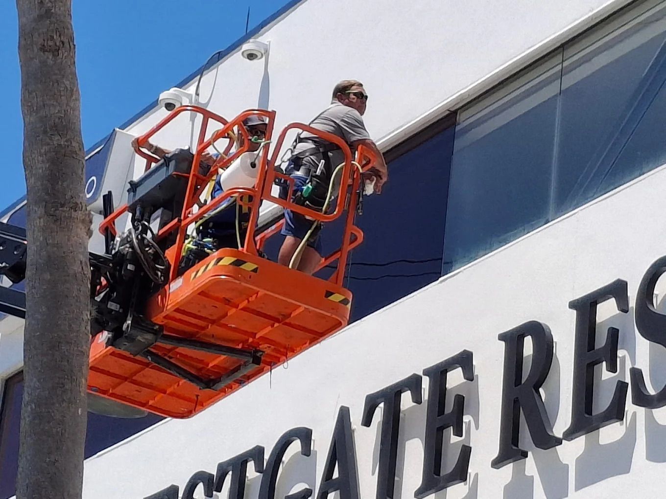 Office and Storefront Film installers Rockledge FL