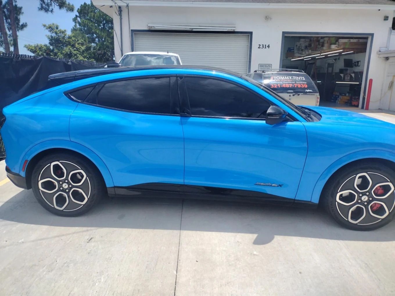 Carbon WINDOW Film