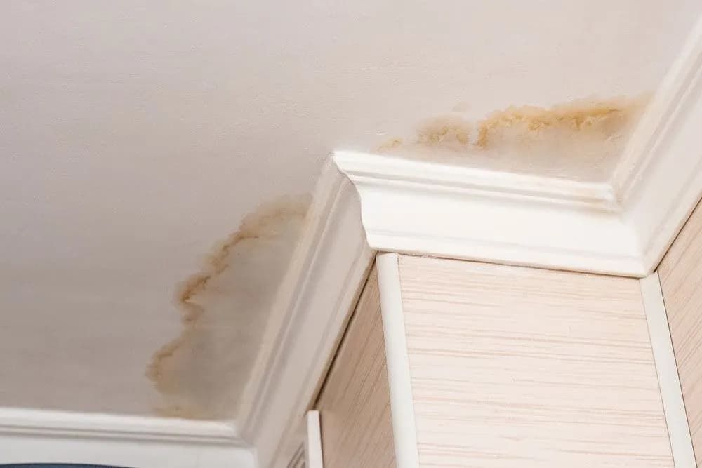 A Corner of a Ceiling With a Stain on It — Foreshore Plumbers In Tuncurry, NSW
