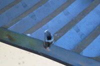 blue top vent image
