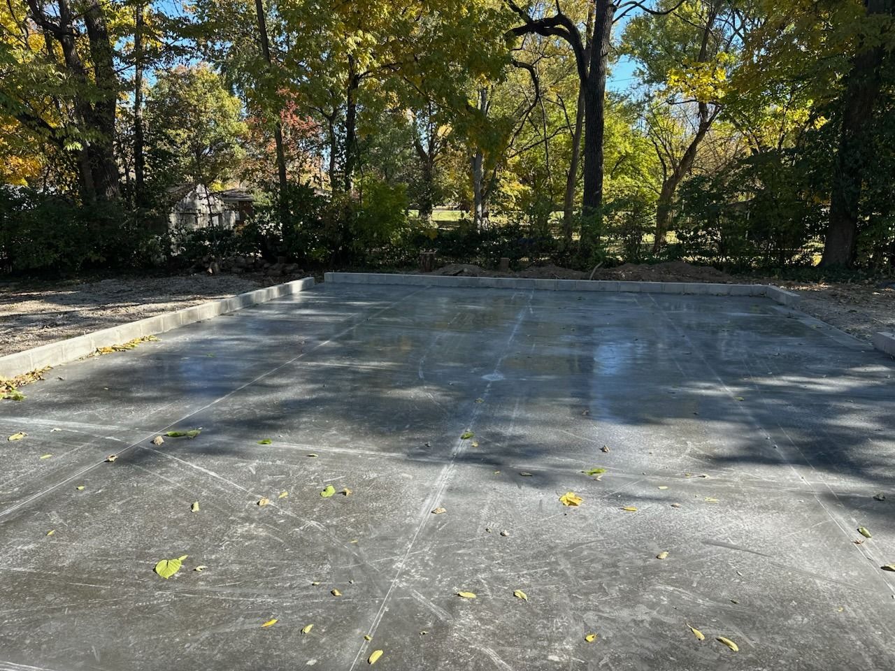 Empty asphalt parking lot bordered by trees with autumn leaves and long shadows