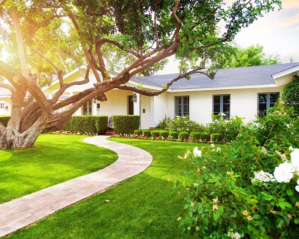 Luscious Green Landscape – Sparks, Nevada – D&D Elite Construction
