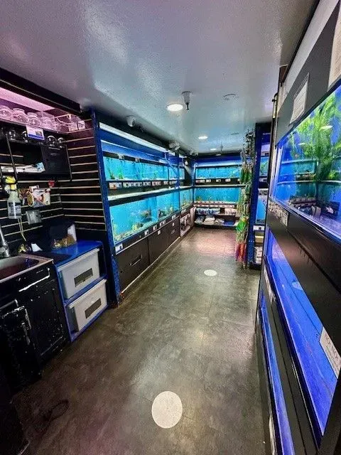 Interior view of a fish store with rows of illuminated aquariums, black shelving, and a central aisle.