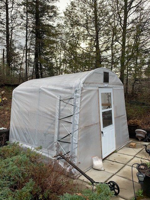 A small greenhouse with a white door stands on a concrete patio in a wooded area.