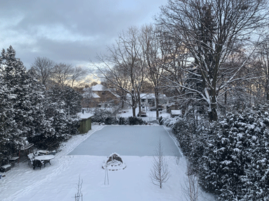 Snow-covered backyard with frozen pool. Trees and houses visible under a cloudy winter sky.