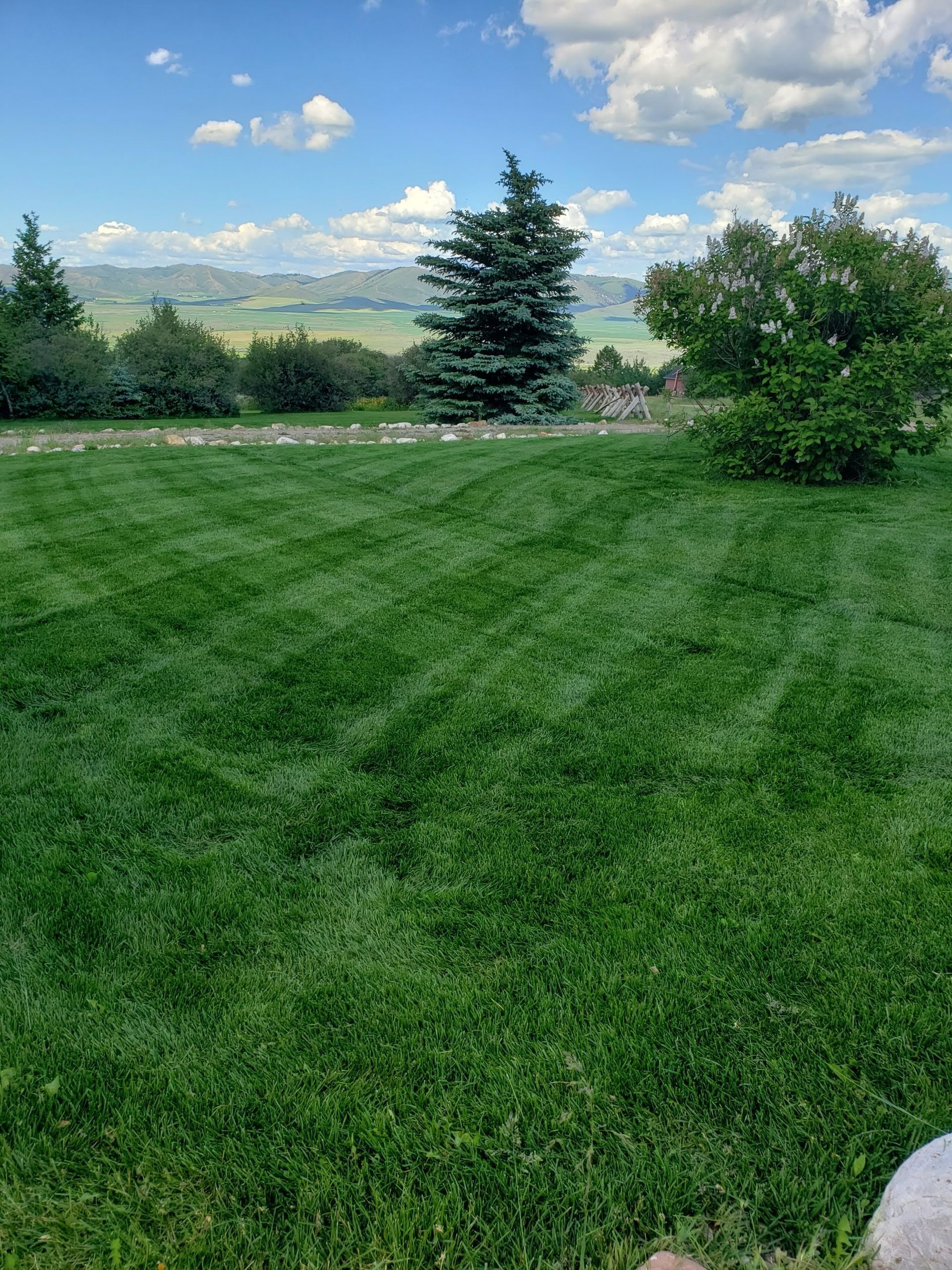A Lush Green Lawn with Trees and A Blue Sky in The Background.
