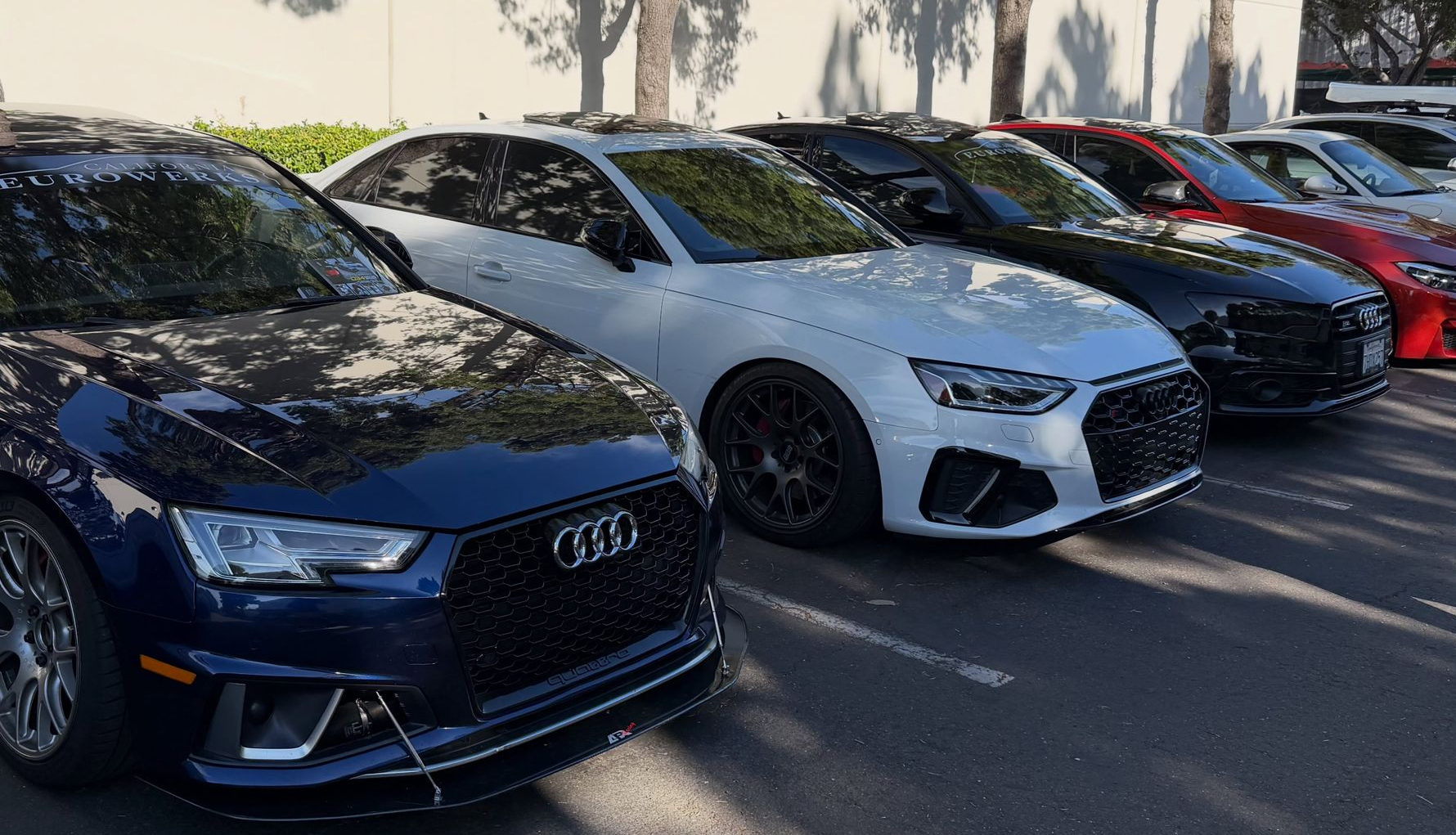 Parked Audi cars lined up in a lot, including a dark blue car, white sedan, and red car.