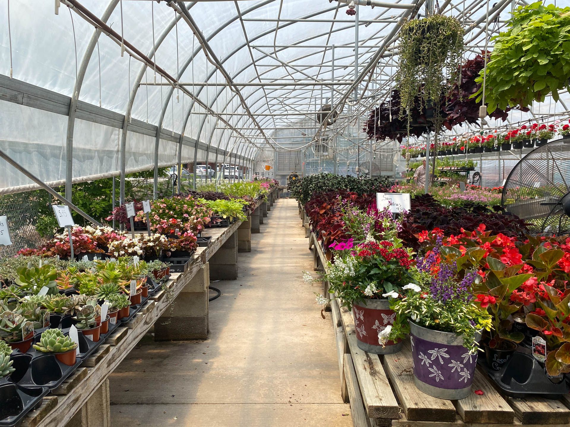 Breshears Nursery & Greenhouse in Hot Springs, Arkansas