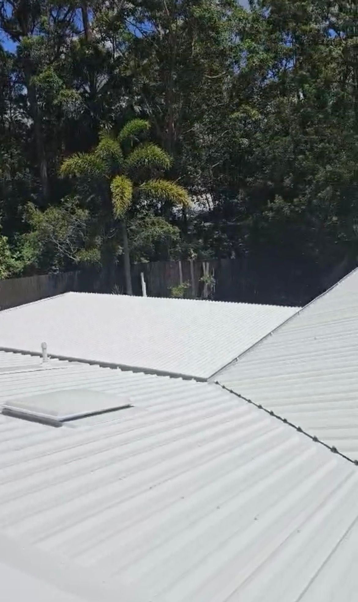 White Roof with Palm Tree — MVP Painting Professionals in Buderim, QLD 