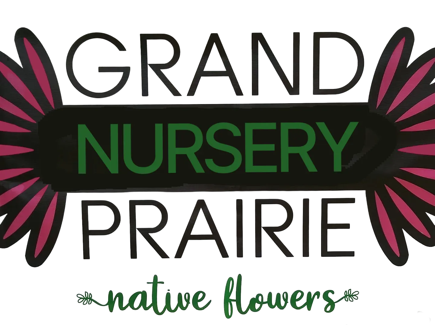 A logo for grand nursery prairie native flowers