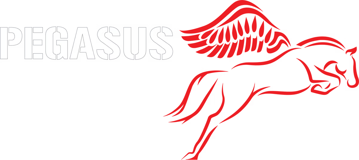 Red winged Pegasus logo with the word “PEGASUS” in light gray text
