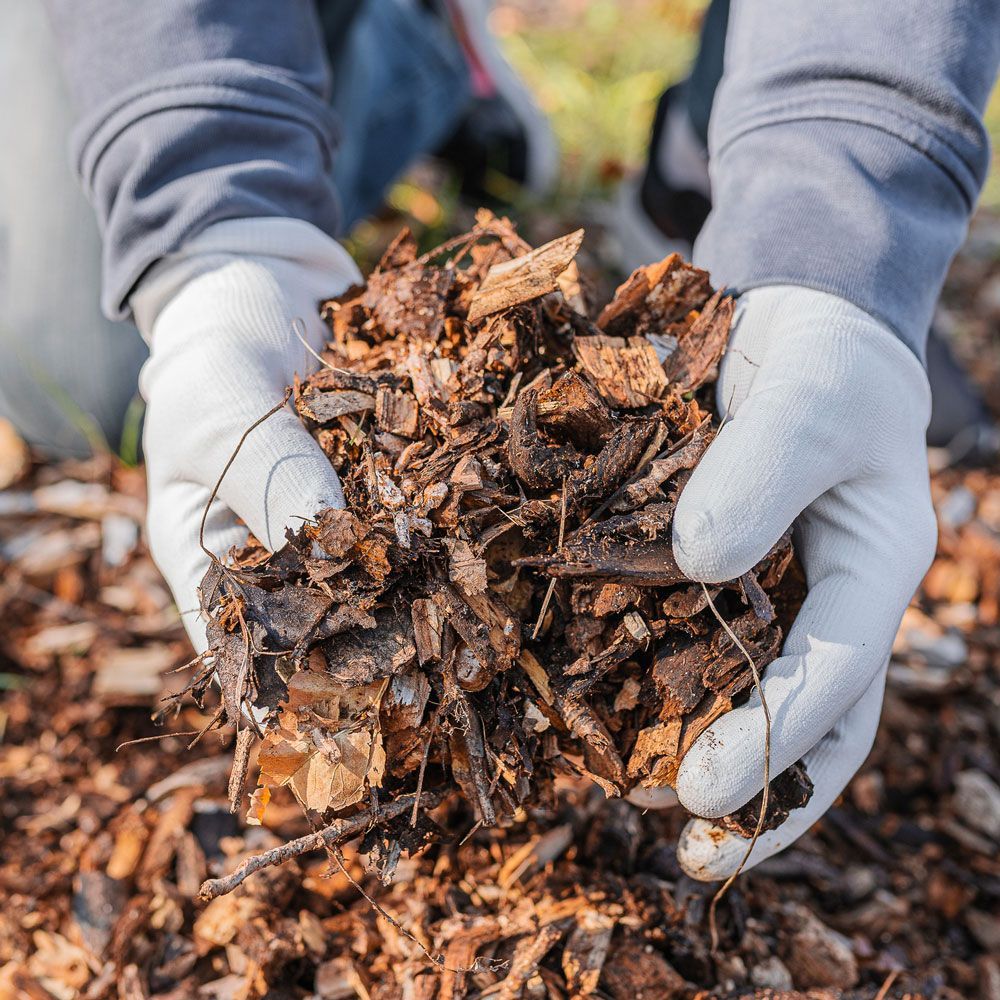 Mulching — Eddington, ME — C and S Excavation