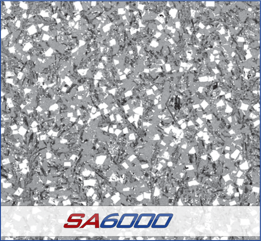 SA6000 Complex Carbide Overlay Plate Micro