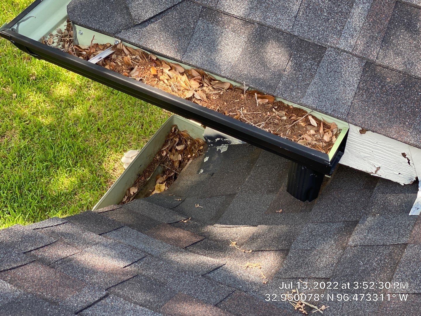 Roof gutter filled with leaves and debris; black downspout; gray shingles.