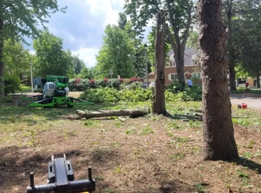 Tree removal: Green machine cutting fallen trees, logs and branches on grassy park ground near buildings.