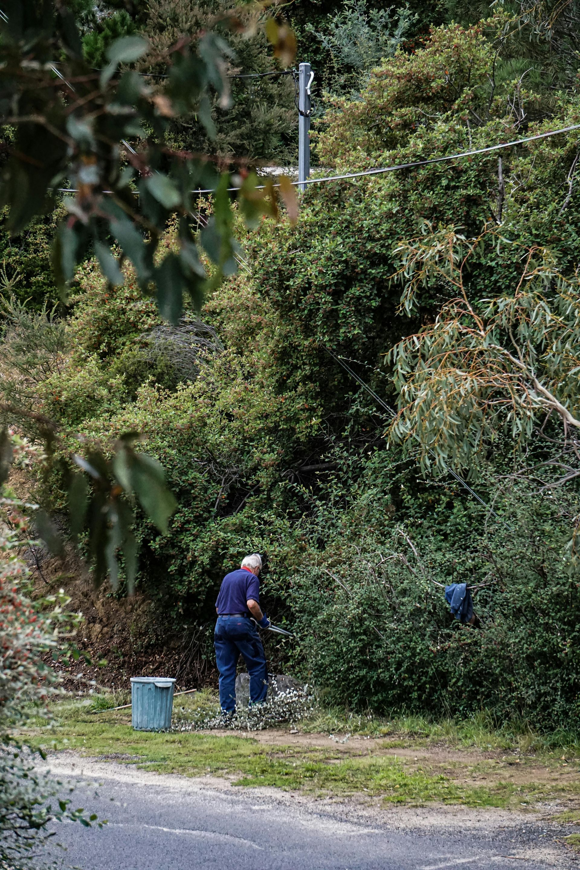 Man trimming bushes on a roadside. He wears dark clothes and is near a blue bucket. Green foliage surrounds him.